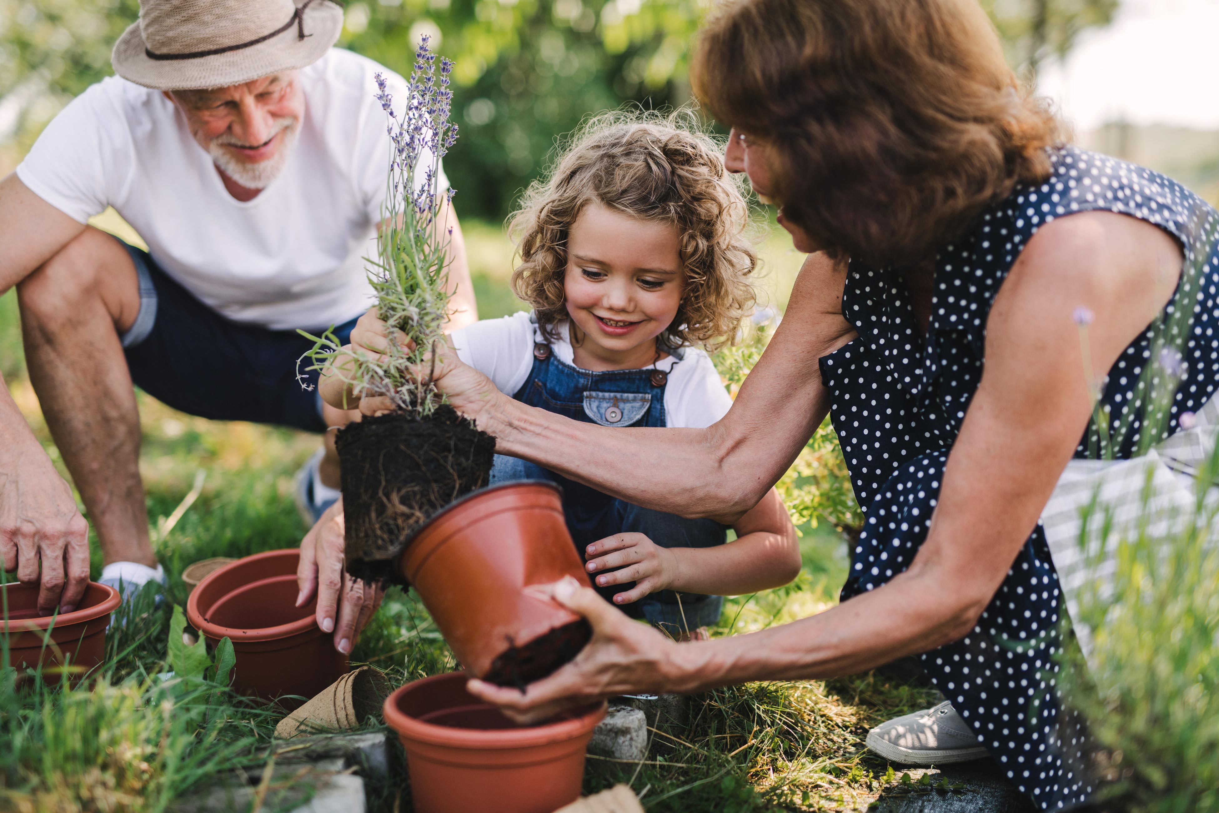 Grandparents teaching grandaughter how to garden
